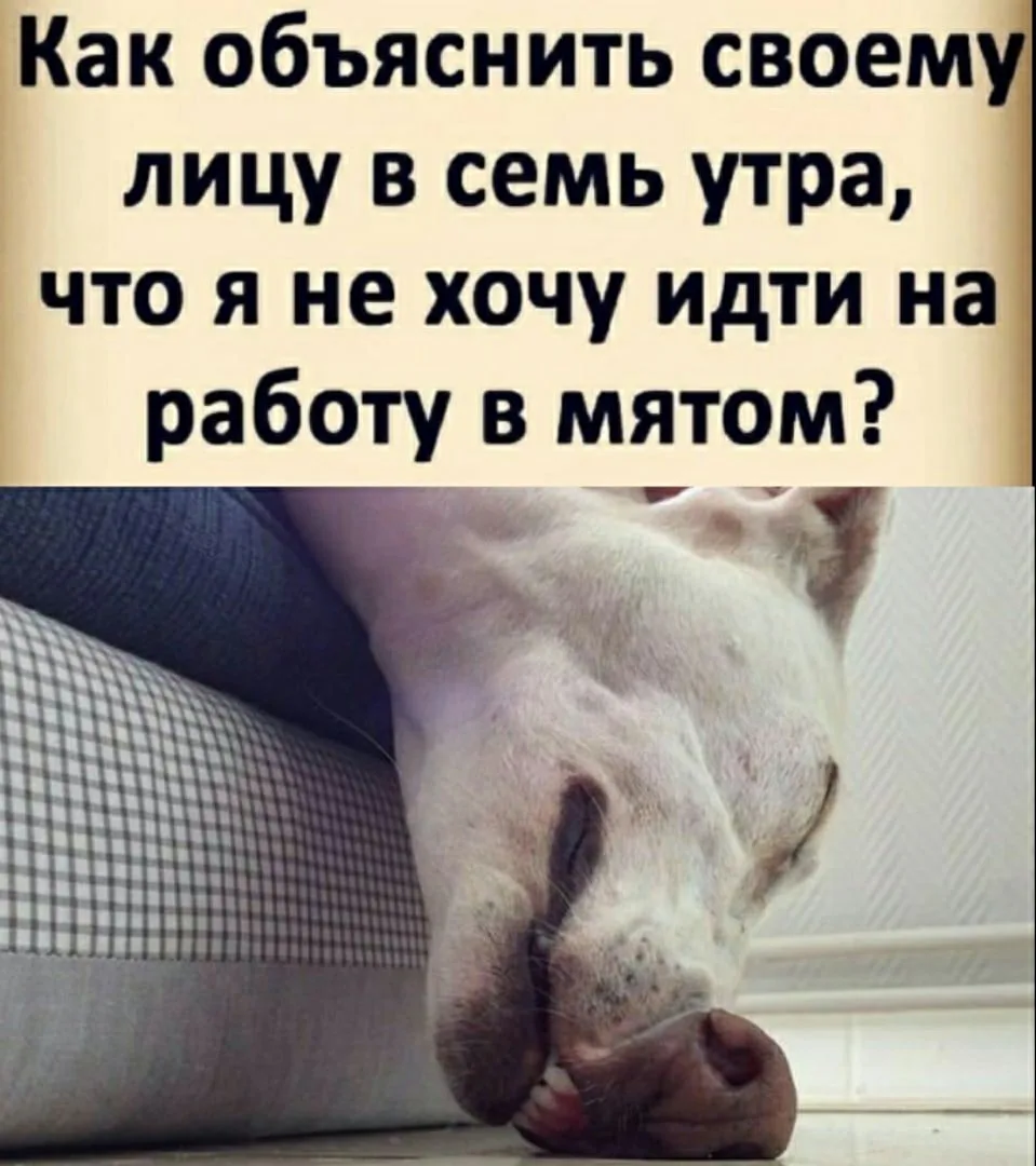 Молния ⚡Юмор