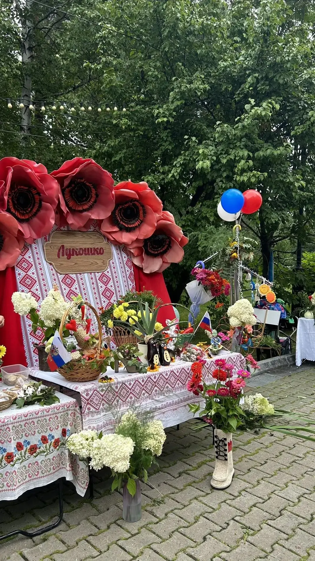 В День Государственного флага Российской Федерации в Хабаровске состоялся яркий городск...