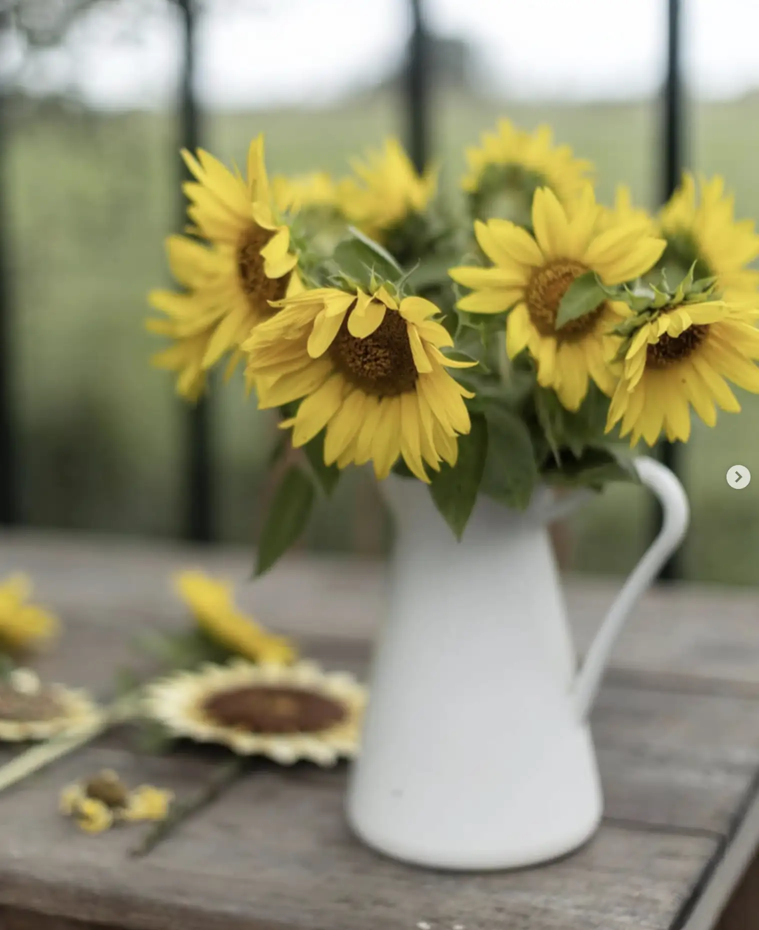 🌻 Летние поделки 🌻
