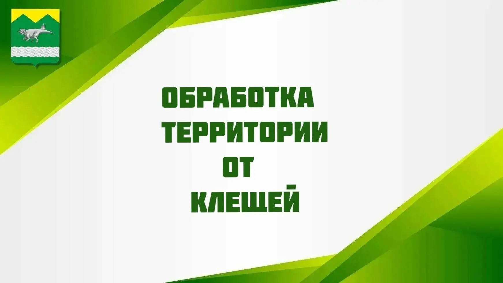 🔔 Важное объявление! 🔔