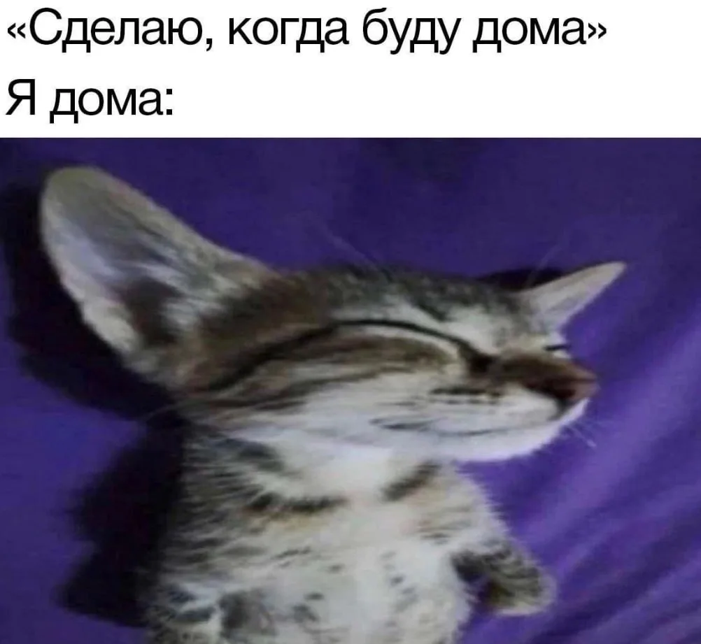 мемы / приколы / юмор / смешно