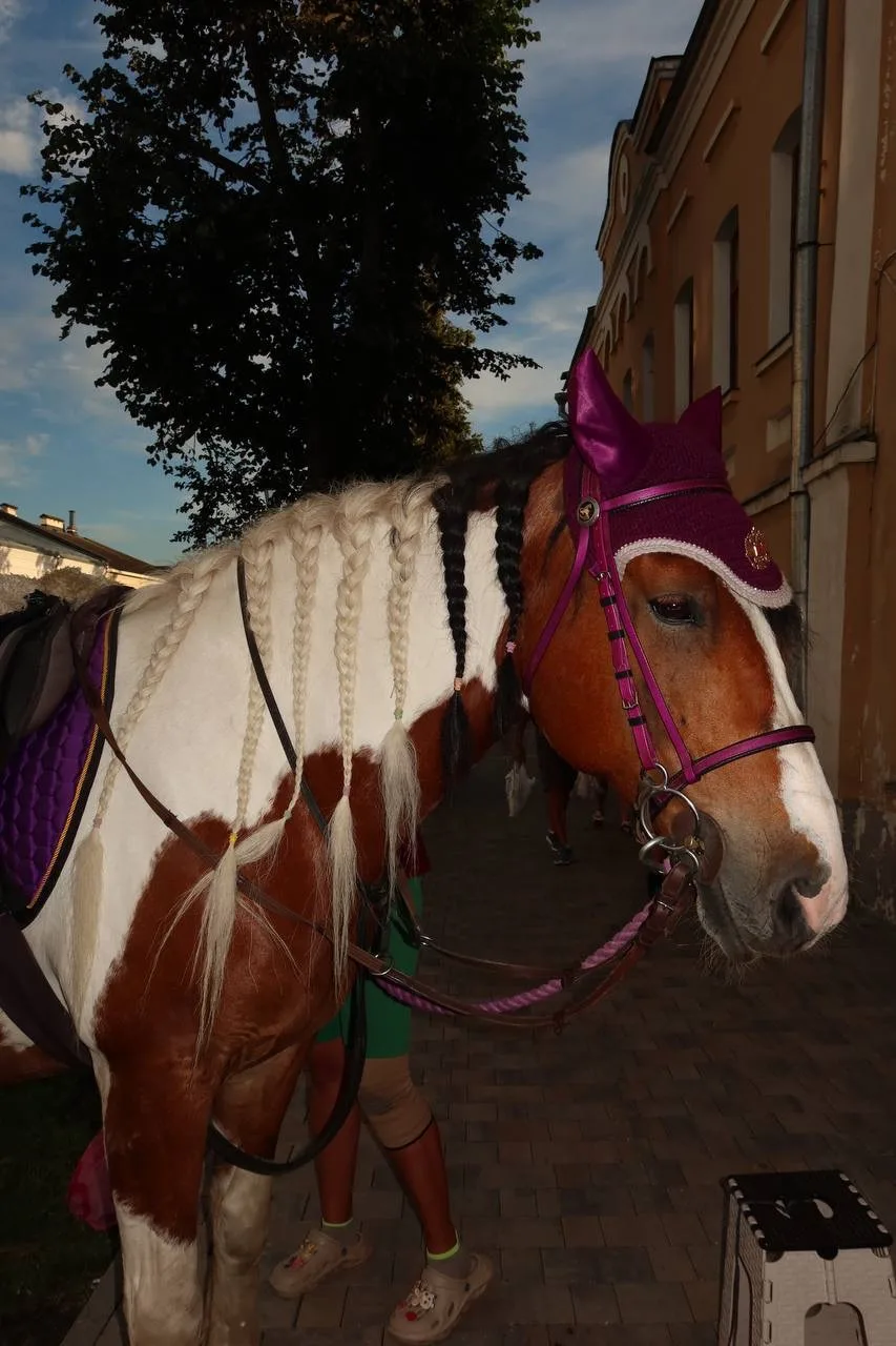 🐴Аслан никогда не катался верхом на лошади...