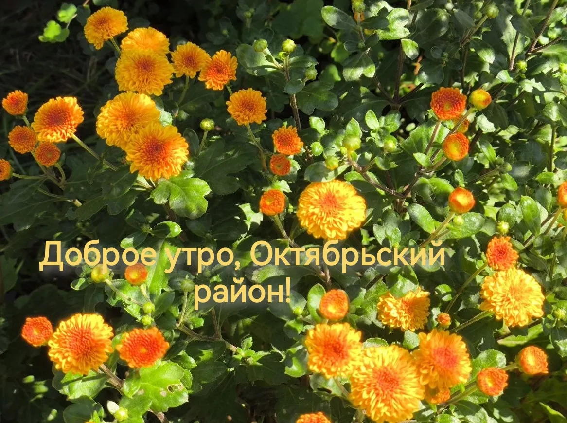 7 сентября  в Октябрьском районе будет облачно,  дождь