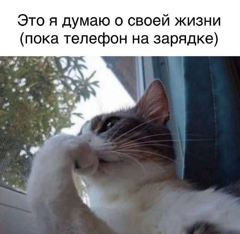 Мем дня получается 😁