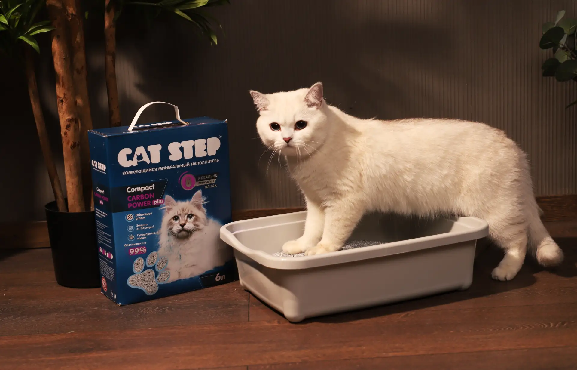 В чём секрет бентонитового наполнителя CAT STEP Комкующийся Сила Угля плюс / Compact Carbon Power pl