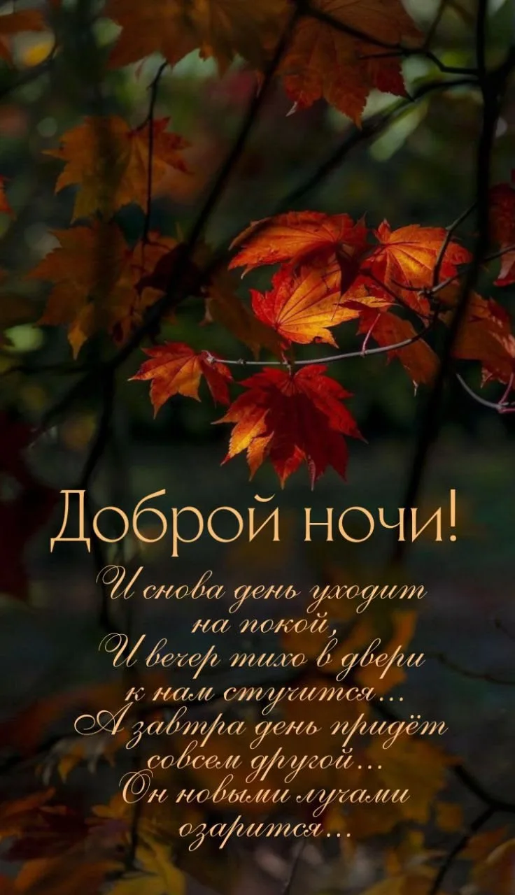 Спокойной и тихой ночи вам! 🤗❤🌜🌜🌜