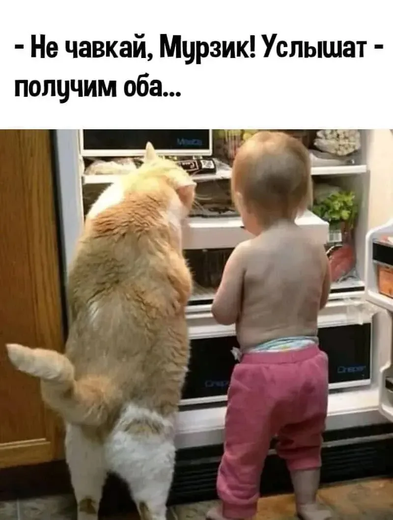 МИНУТКА ЮМОРА 😆

Канал ПОЗДРАВЬ ОТКРЫТКОЙ 💌
https://max.ru/unscrew009