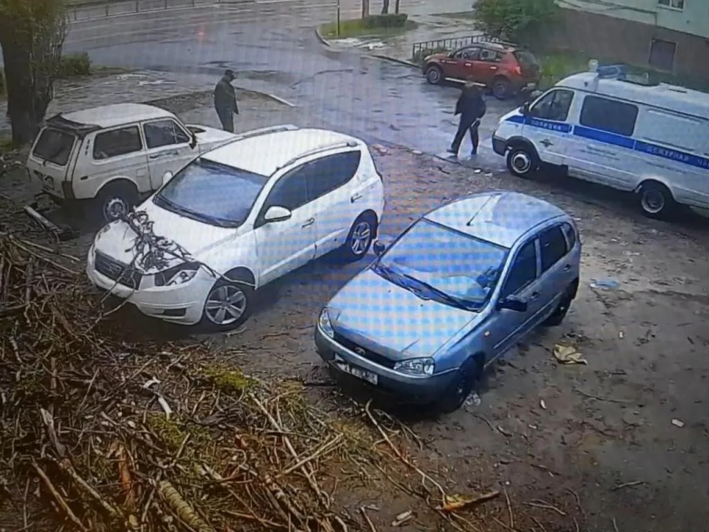 В Липецке деревья при поддержке ветра "устроили" массовую атаку на припаркованные машины  За выходны