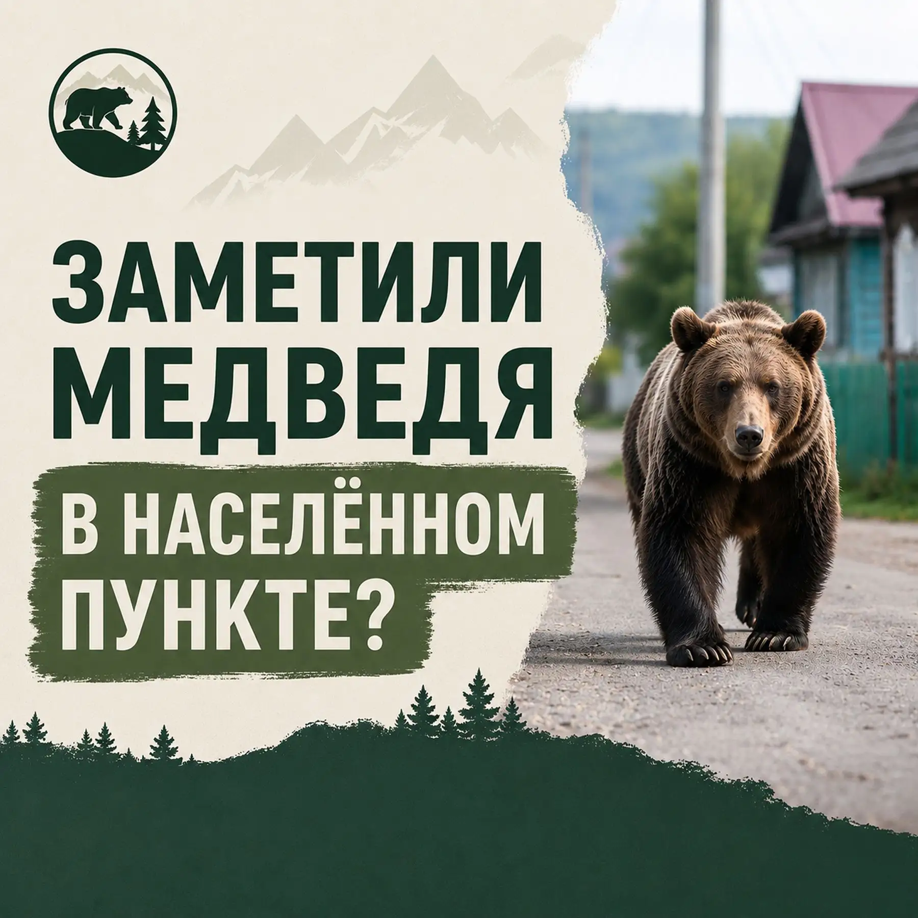 Если вы заметили медведей в населённых пунктах или рядом с жилыми массивами, соблюдайте...