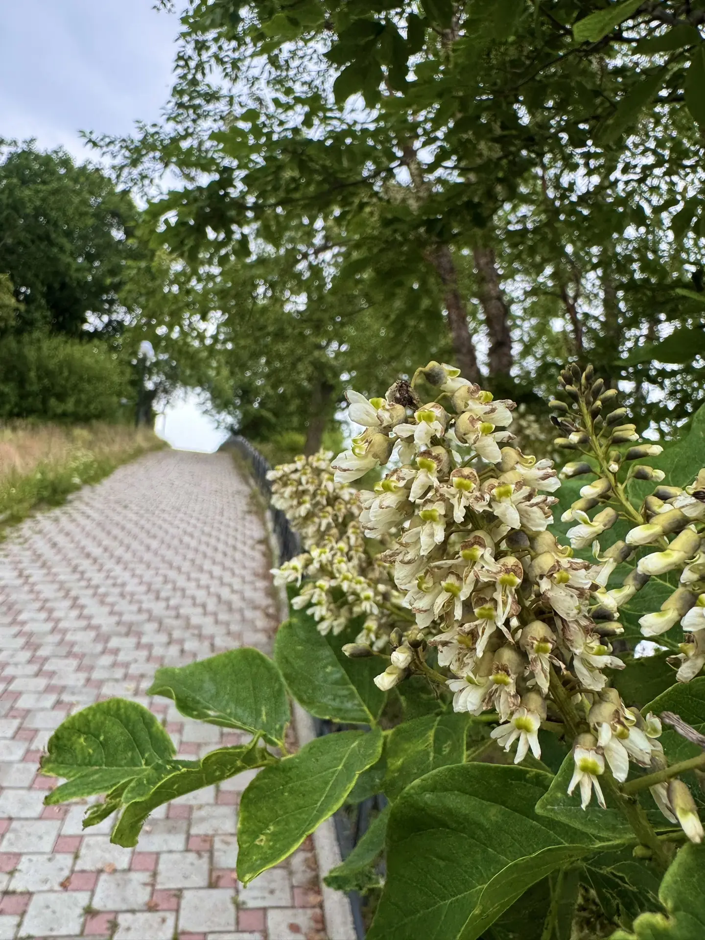 Доброе утро, аМУРчики ❤️