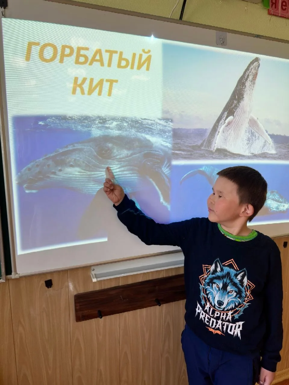 👣🔍 Камчатская экспедиция

🌊🐋 Сегодня в нашем лагере был потрясающий, по-настоящему глубоководный