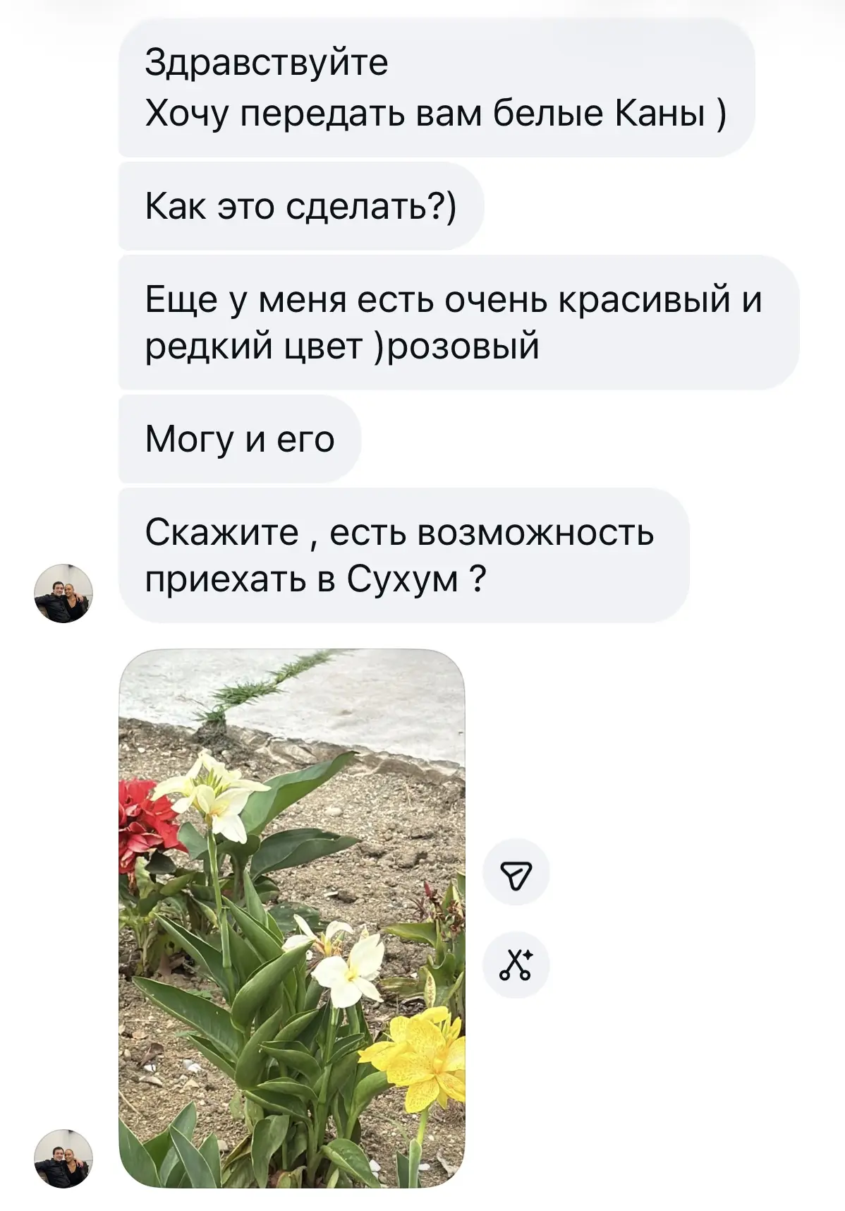 Нашлись сортовые канны😍 Со мной готовы поделиться🤗 Впрочем, почти весь мой сад - это ...