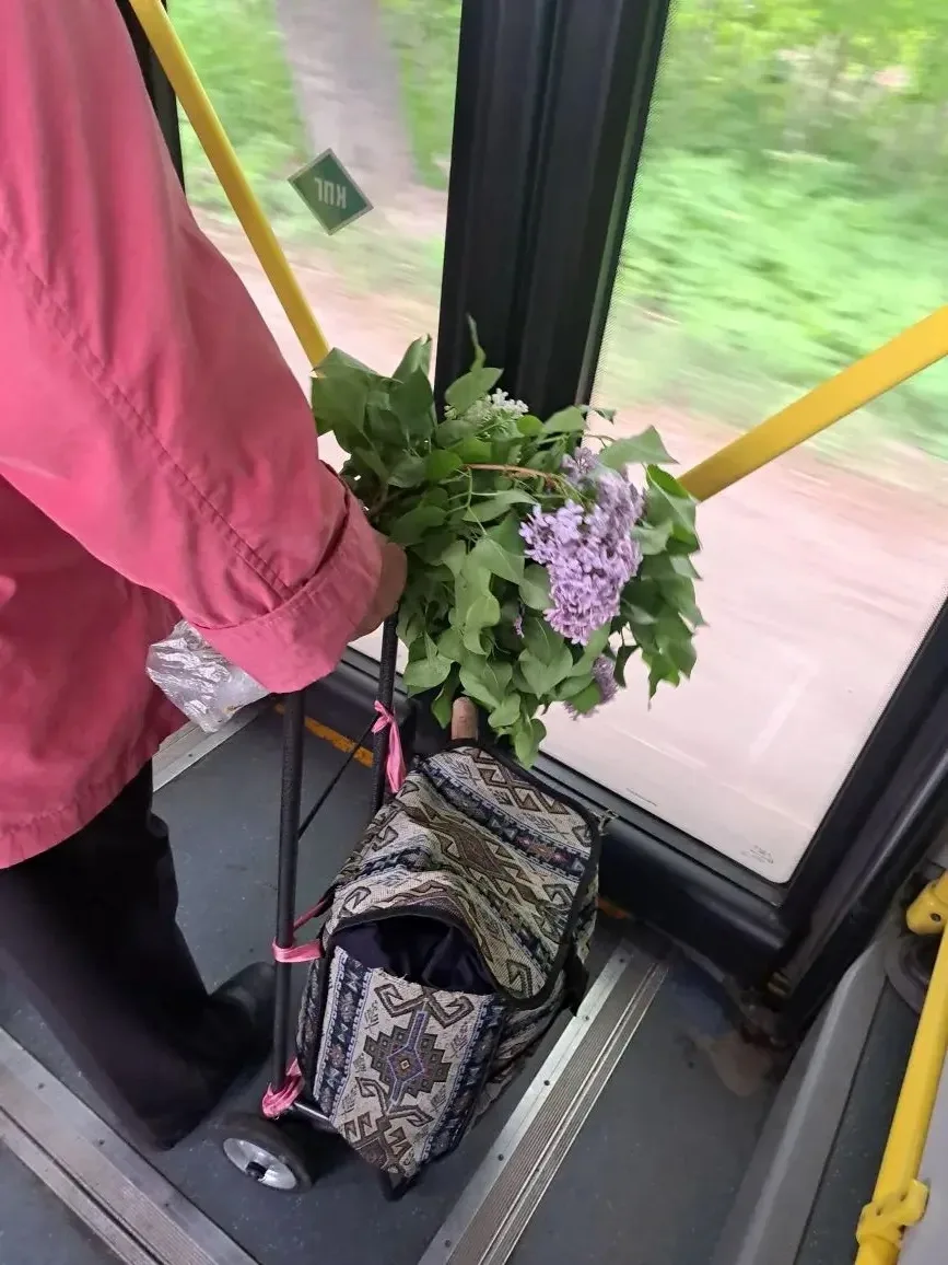 Летний вайб в городском транспорте — это поездки с цветами, деревьями, кустами и рассадой