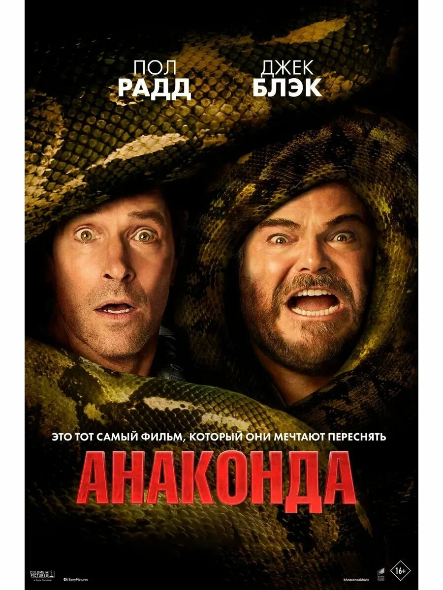 Смотреть онлайн

Анаконда 
VR 3D SBS
Anaconda, фильм, 16+
Рейтинг 5,8 из 10
2025, комедия, США

Жанр