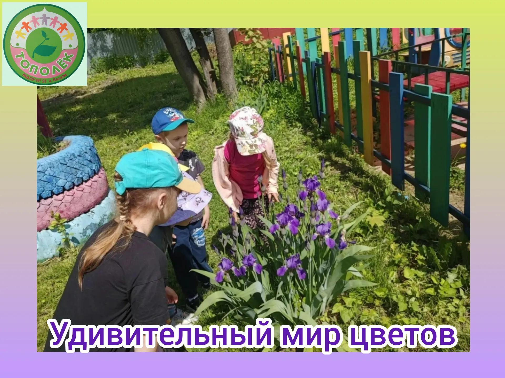 Дети группы 3 закрепили представления о многообразии мира цветов, их частях, местах произрастания, о