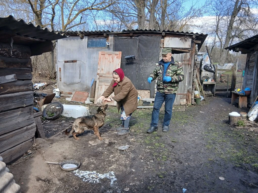 🐶 Чипирование собаки — коротко и по делу
Хотите быть спокойны за своего четвероногого друга? Чипиро