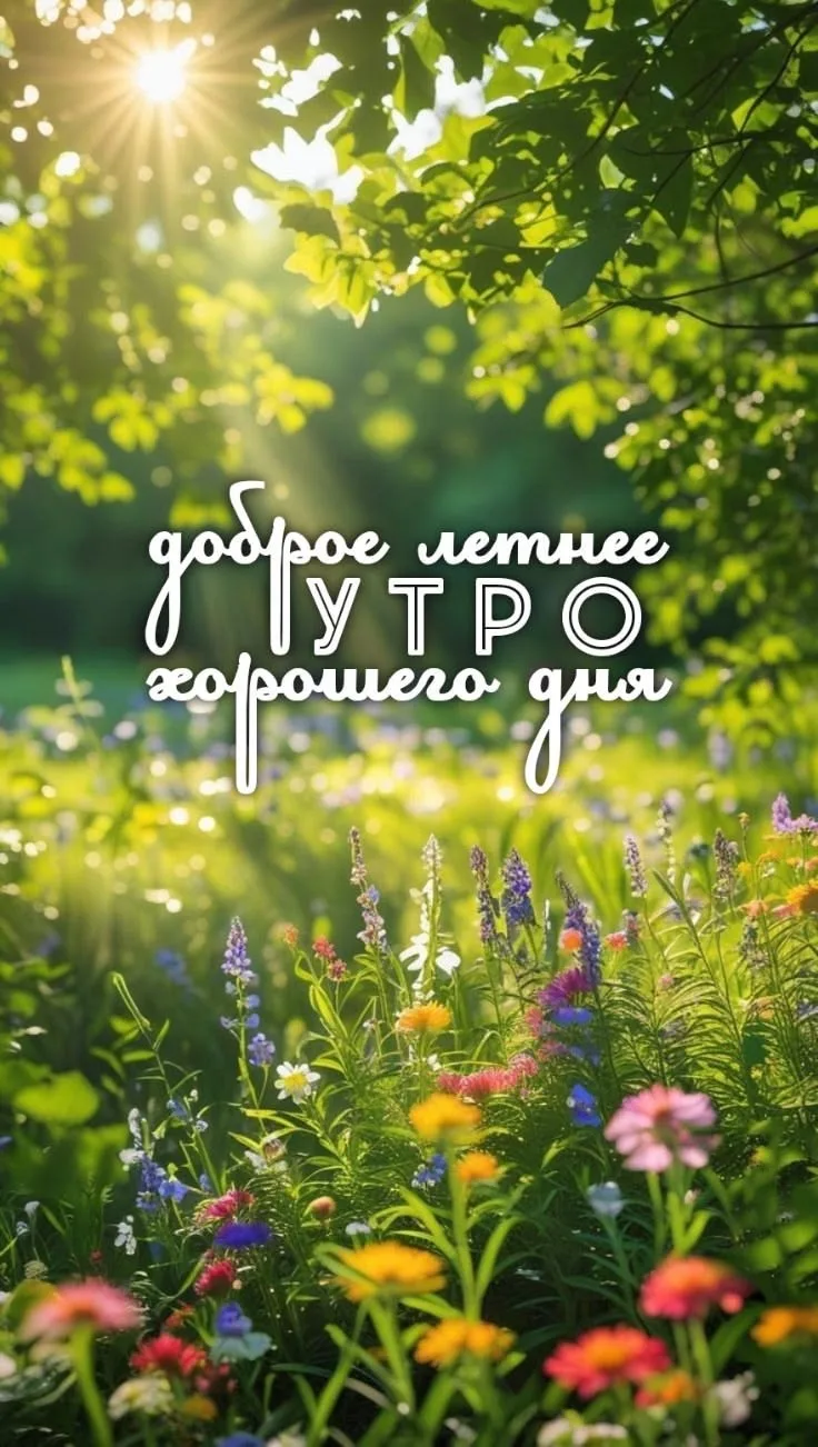 Юмор в открытках
