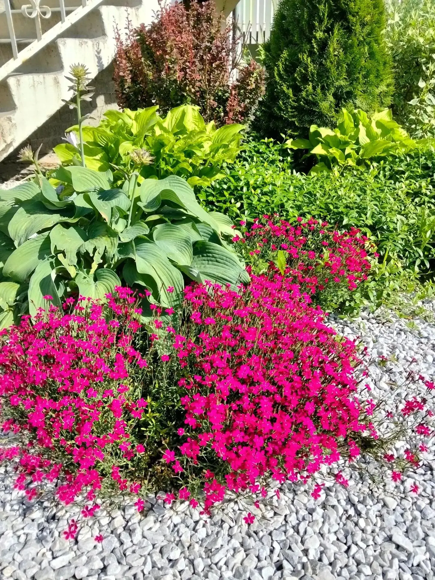 Цветущий имидж 🏢🌸
