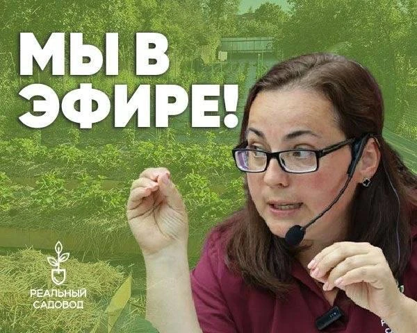 Начинаем повтор эфира.

Подключайтесь ⬇️

[контакт скрыт]
[контакт скрыт]