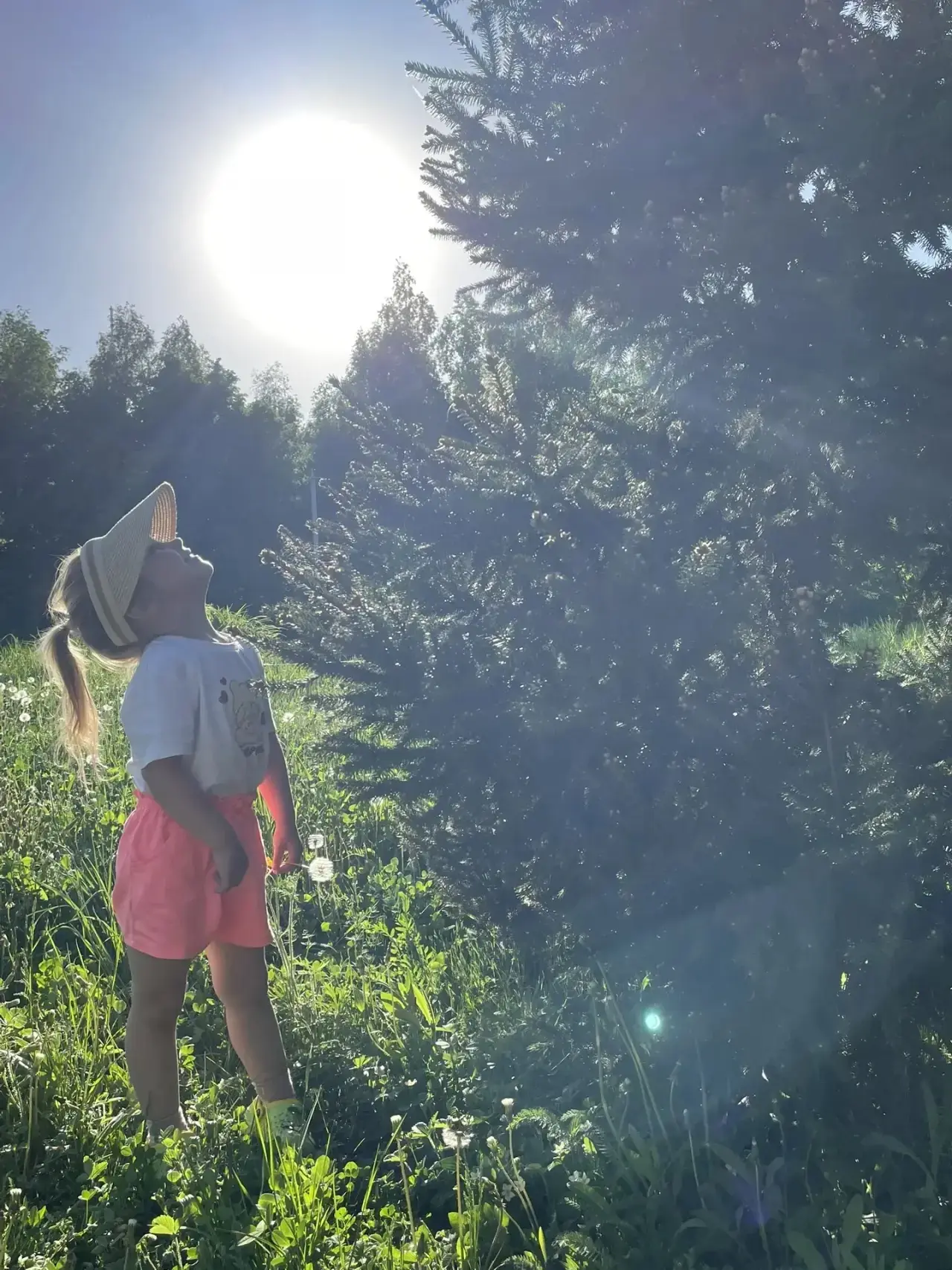 Луч солнца золотого ✨☀️
