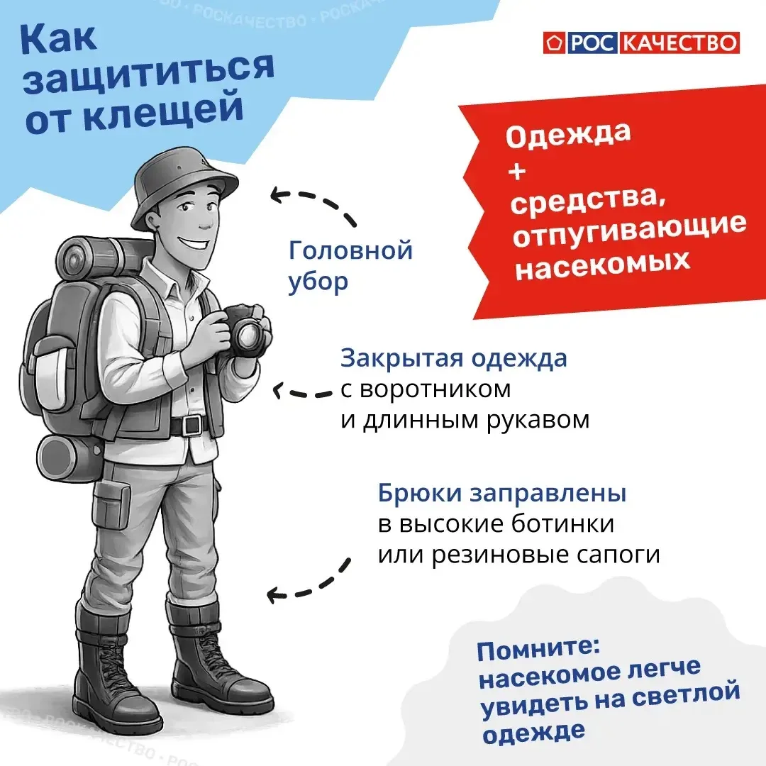 🕷 Сезон клещей открыт: важные правила, которые нужно знать каждому
