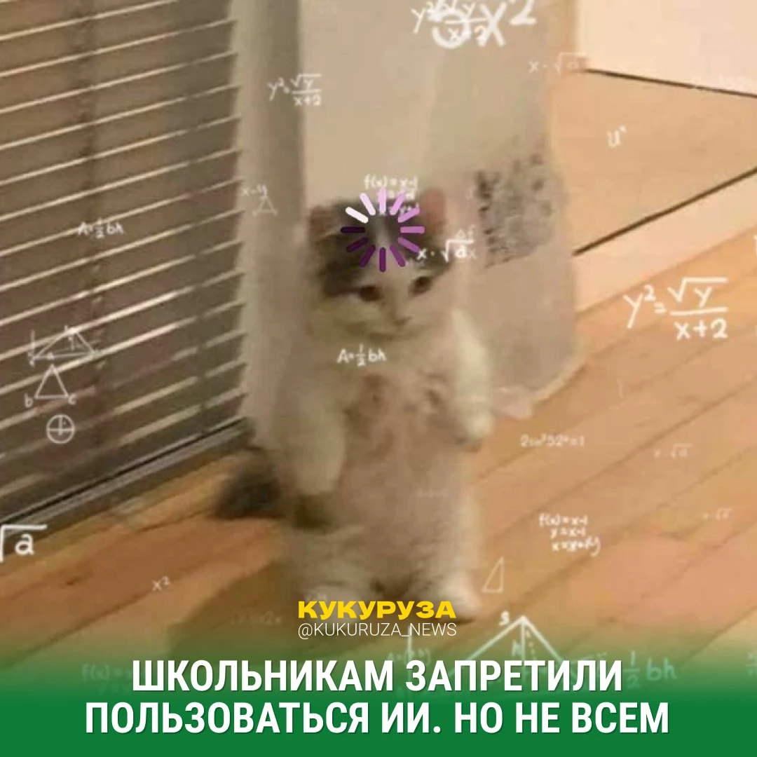 Изображение 1 к публикации «Кукуруза | Клевые новости России»
