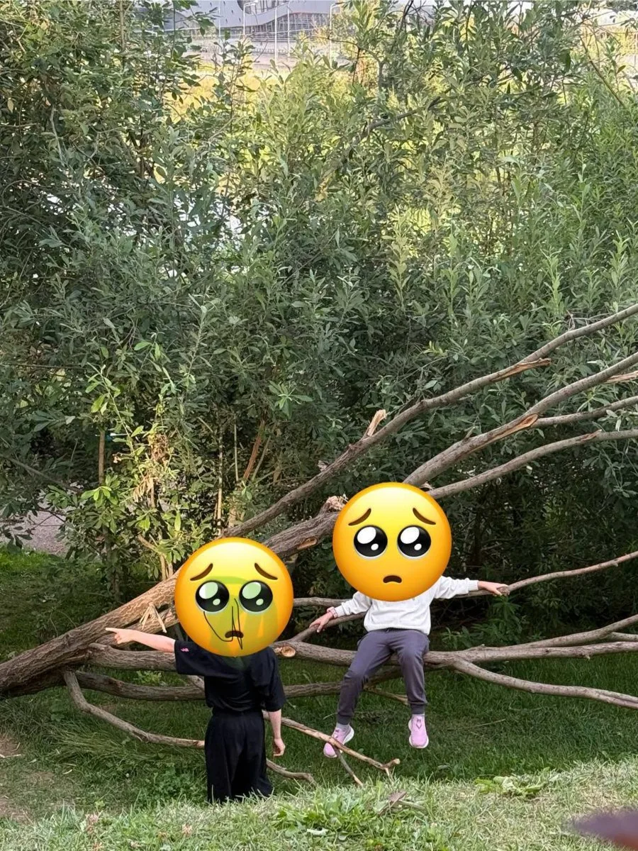 Изображение 1 к публикации «Коммунарка»