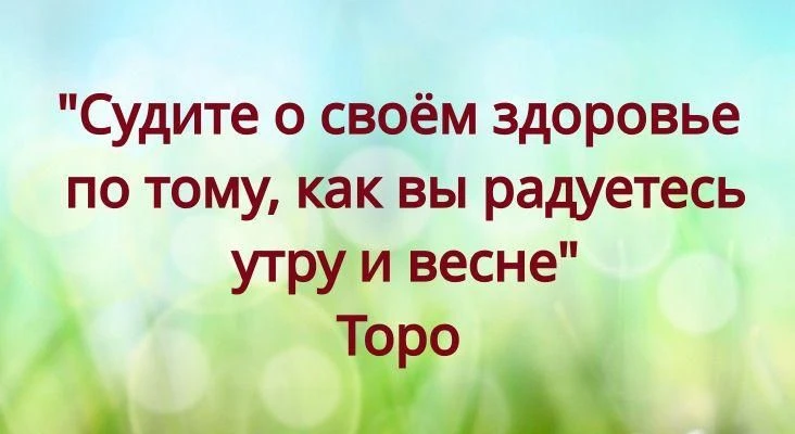 Всю неделю мы говорили о питании и мифах вокруг очищения печени. Но забота об этом органе — это не т