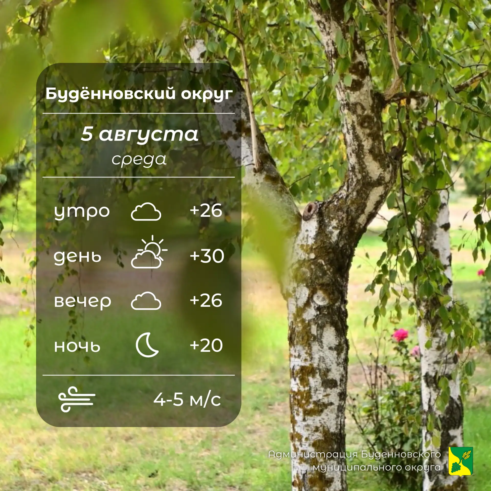 ☁️Сегодня в Буденновском округе пасмурно, без осадков. Температура воздуха +20…⁠+30°. Ветер 4-5 м/с,