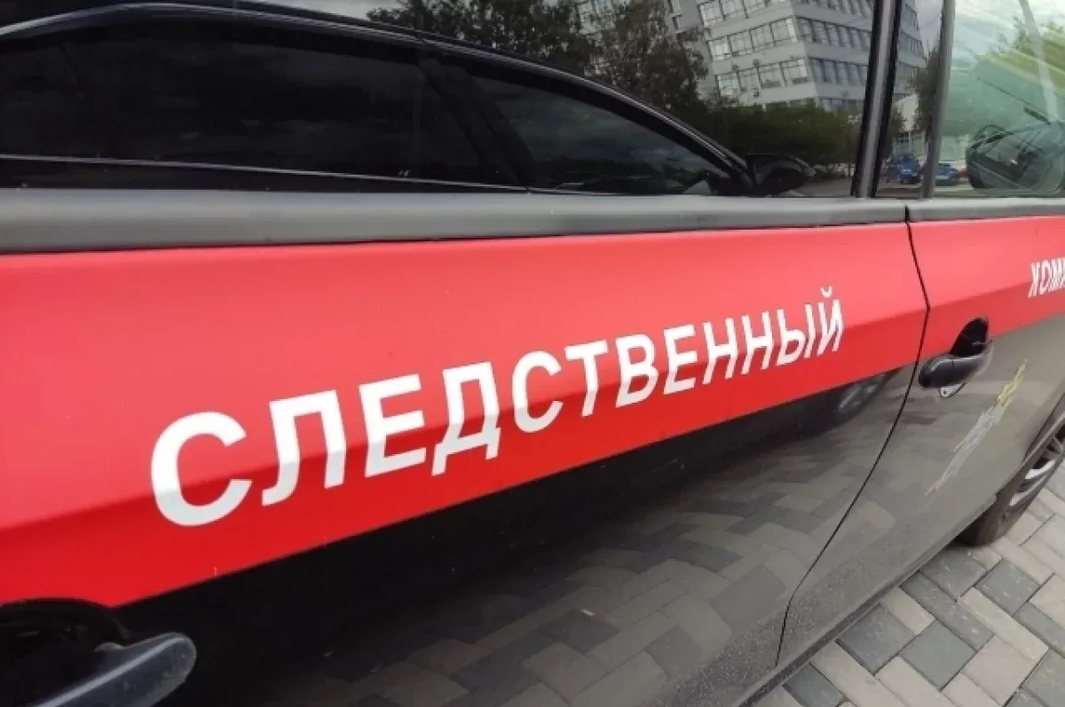 В КИНЕЛЕ НА ДВУХЛЕТНЕГО РЕБЕНКА УПАЛА КАЛИТКА, МАЛЬЧИКА УВЕЗЛИ В БОЛЬНИЦУ