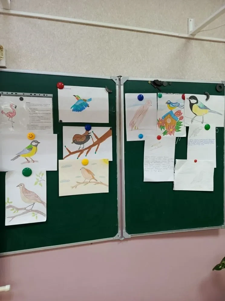 🐦 Чтим традиции — помогаем птицам! 1 апреля в нашей стране отмечается День птиц. А в старину первых 