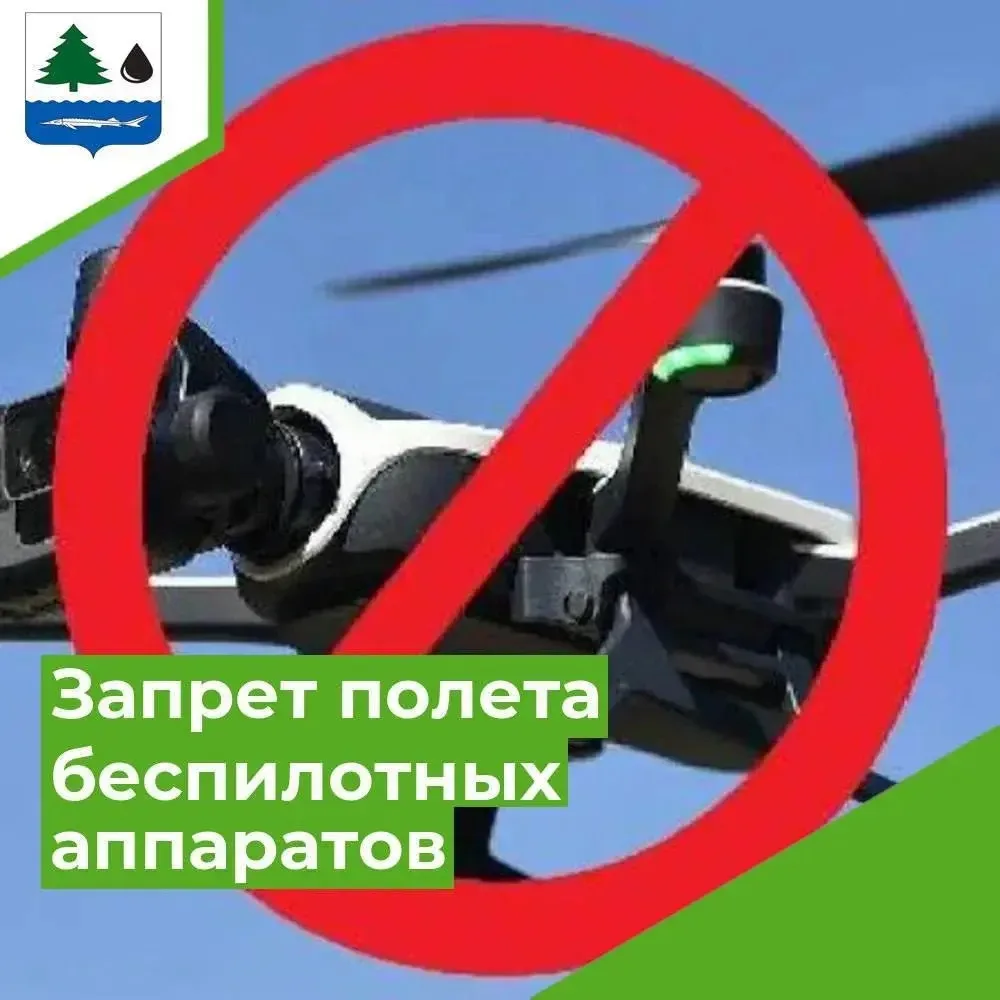 #ЭтюдыСевера2026