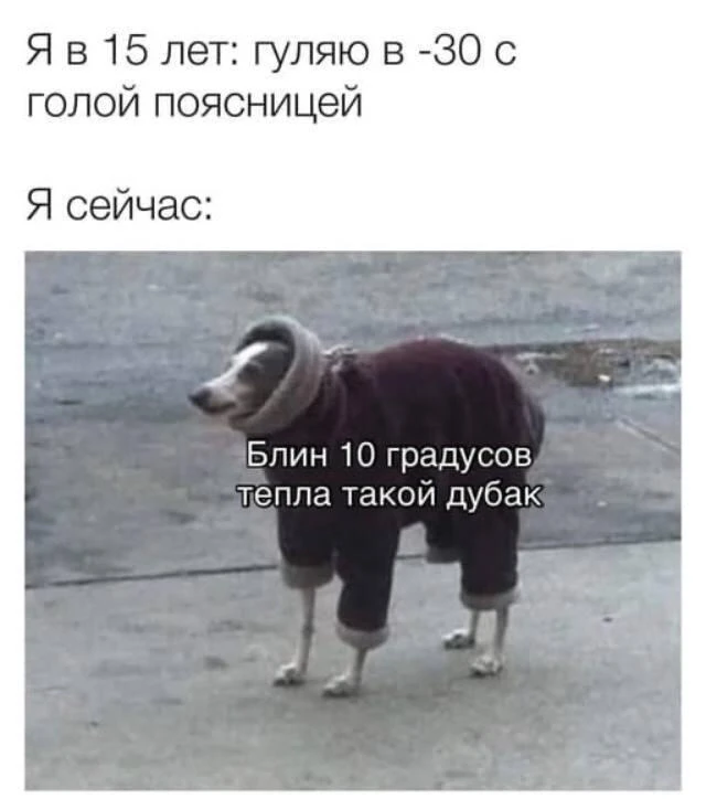 Доктор, я мерзну постоянно   П: «Доктор, я постоянно мерзну! Все в футболках, а я в свитере. Руки-но