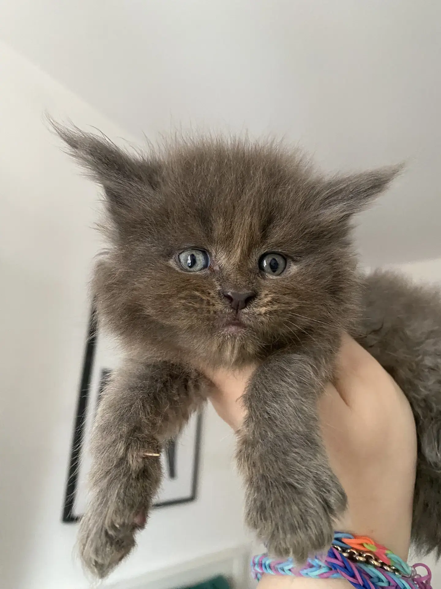 Вот такая вот свободная красота есть🥰