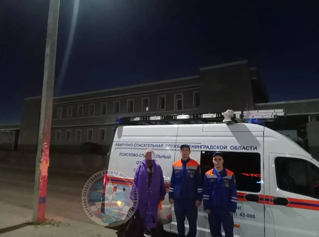В Тосненском районе спасатели вывели из леса заблудившегося пенсионера

Поздно вечером 29 июля в пои