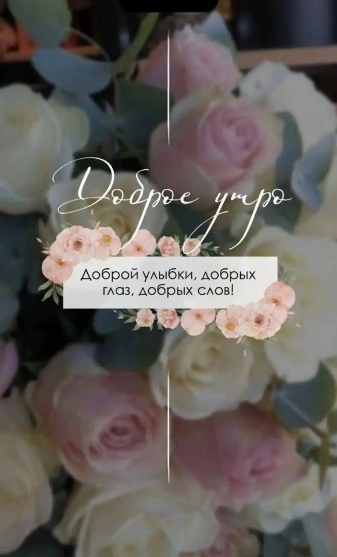 Кто идёт медленно и не спеша, тому не длинна никакая дорога; кто терпеливо готовится в ...
