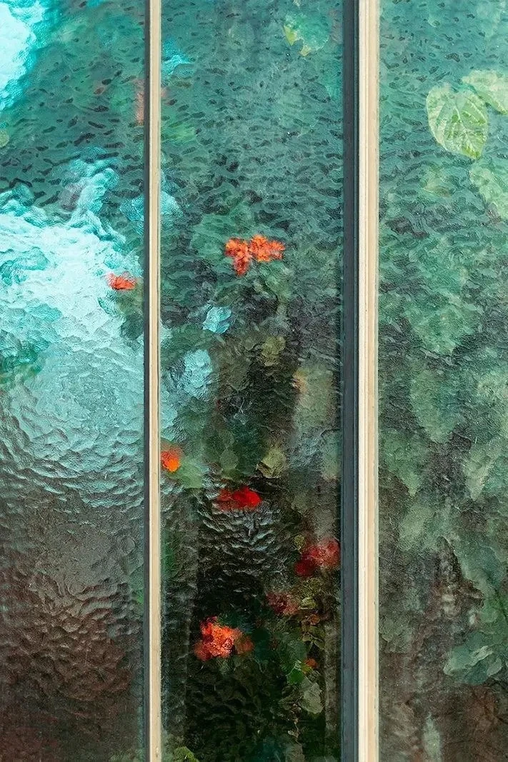Серия «Botanical» швейцарского фотографа Samuel Zeller:
