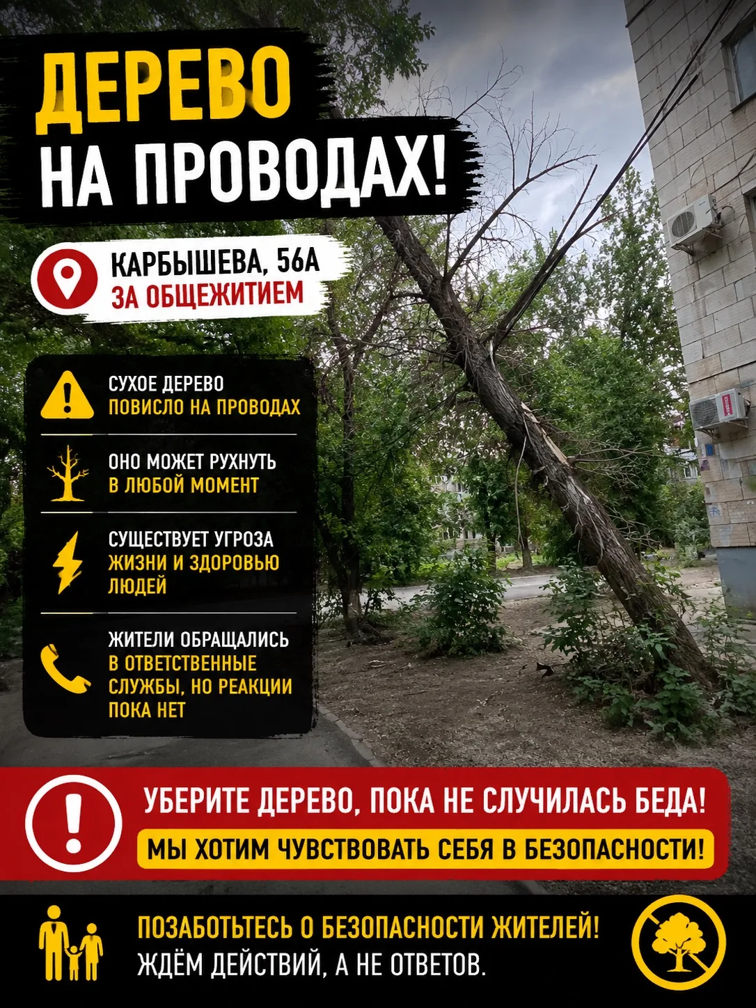 🌳 ДЕРЕВО НА ПРОВОДАХ