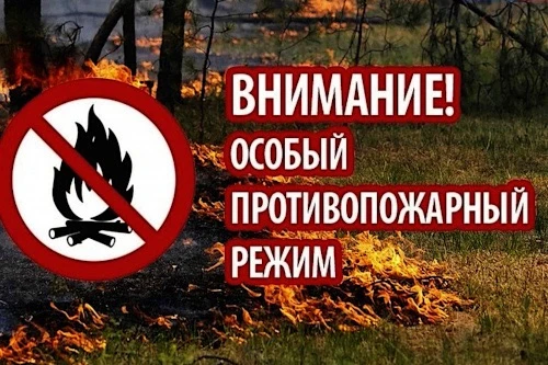 В Нижнеудинском районе до 6 июля продлен особый противопожарный режим