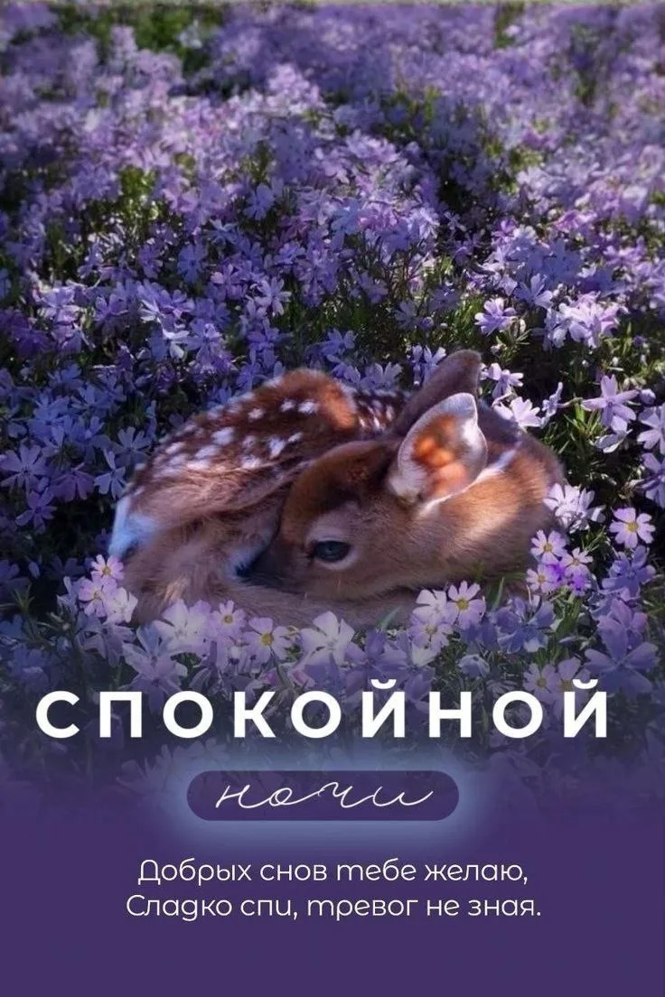 🥱Православные тоже шутят - Позитивный канал, с доброй и душевной атмосферой.