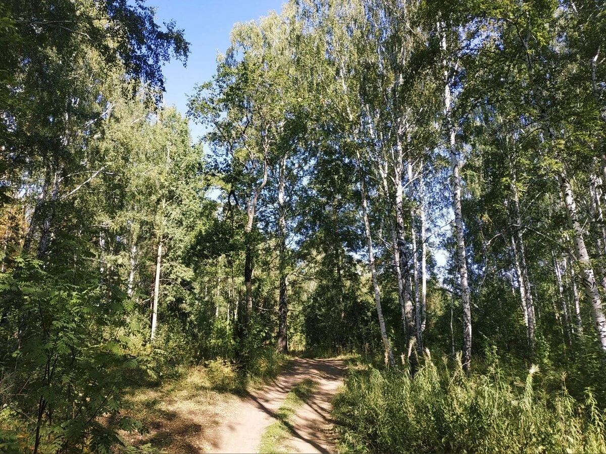 Она же одноклассница моя, а не чужой человек