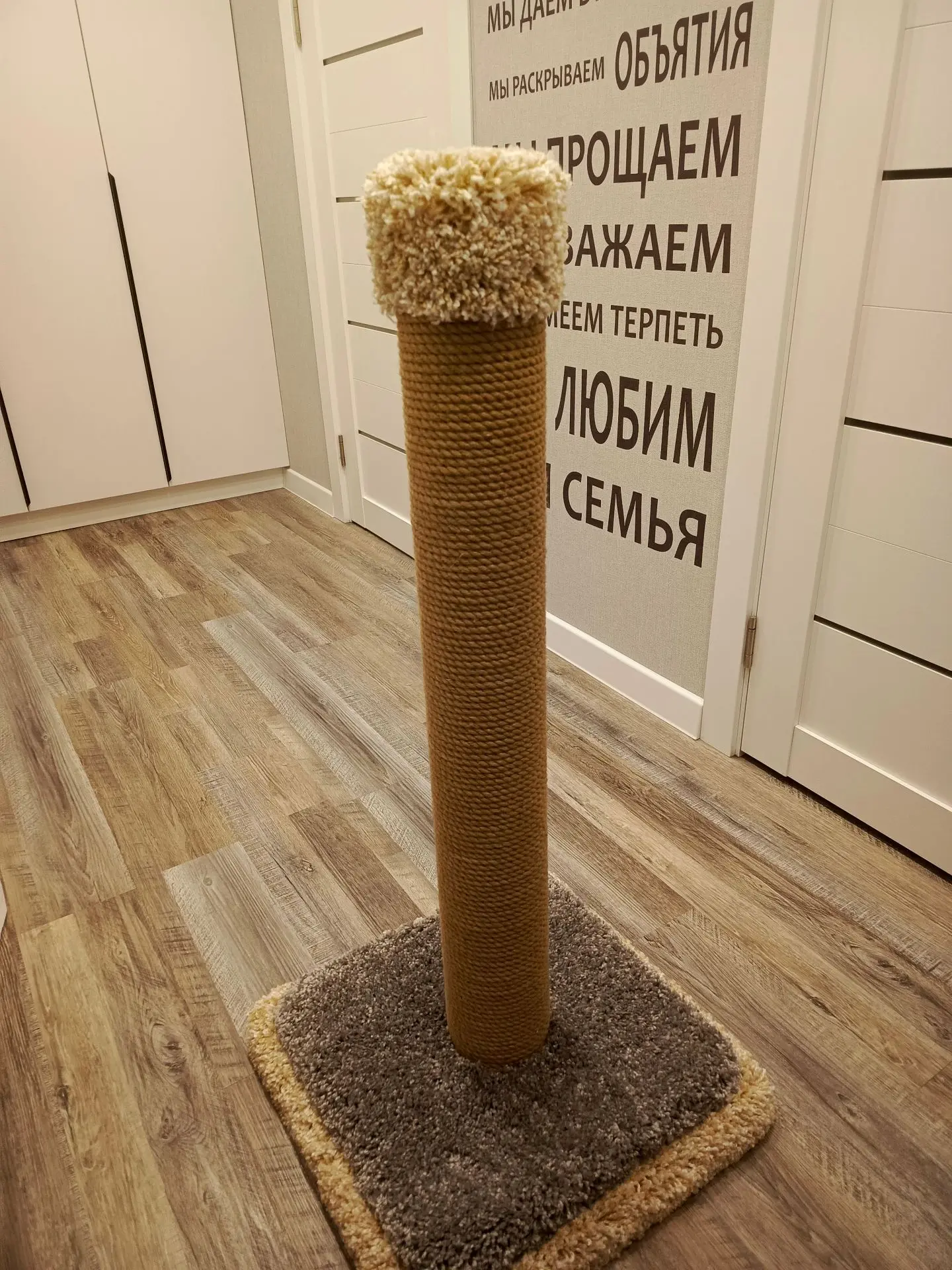 «Наши увлечения»                                                                                    