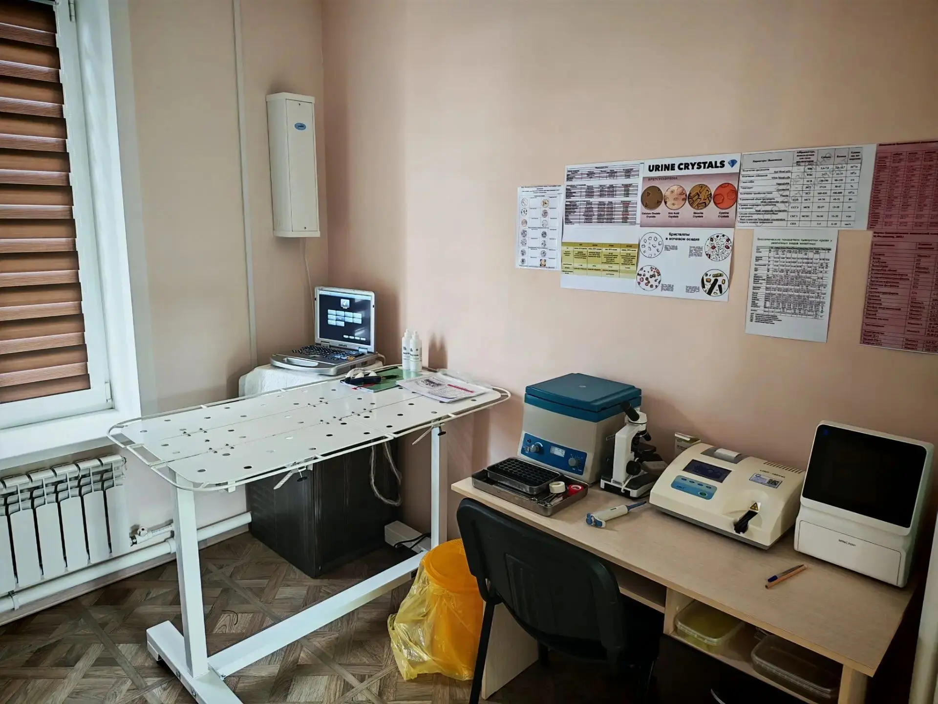 🐶 Ветстанция в Углегорске получила новый аппарат УЗИ и анализатор крови