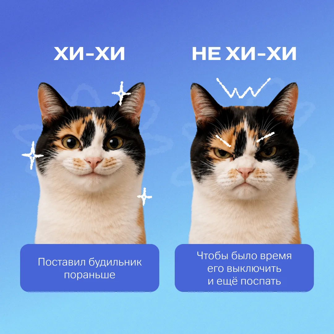 ⏰ План на день: миссия выполнима!