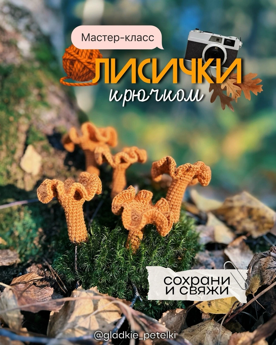 🍄 Грибы лисички.