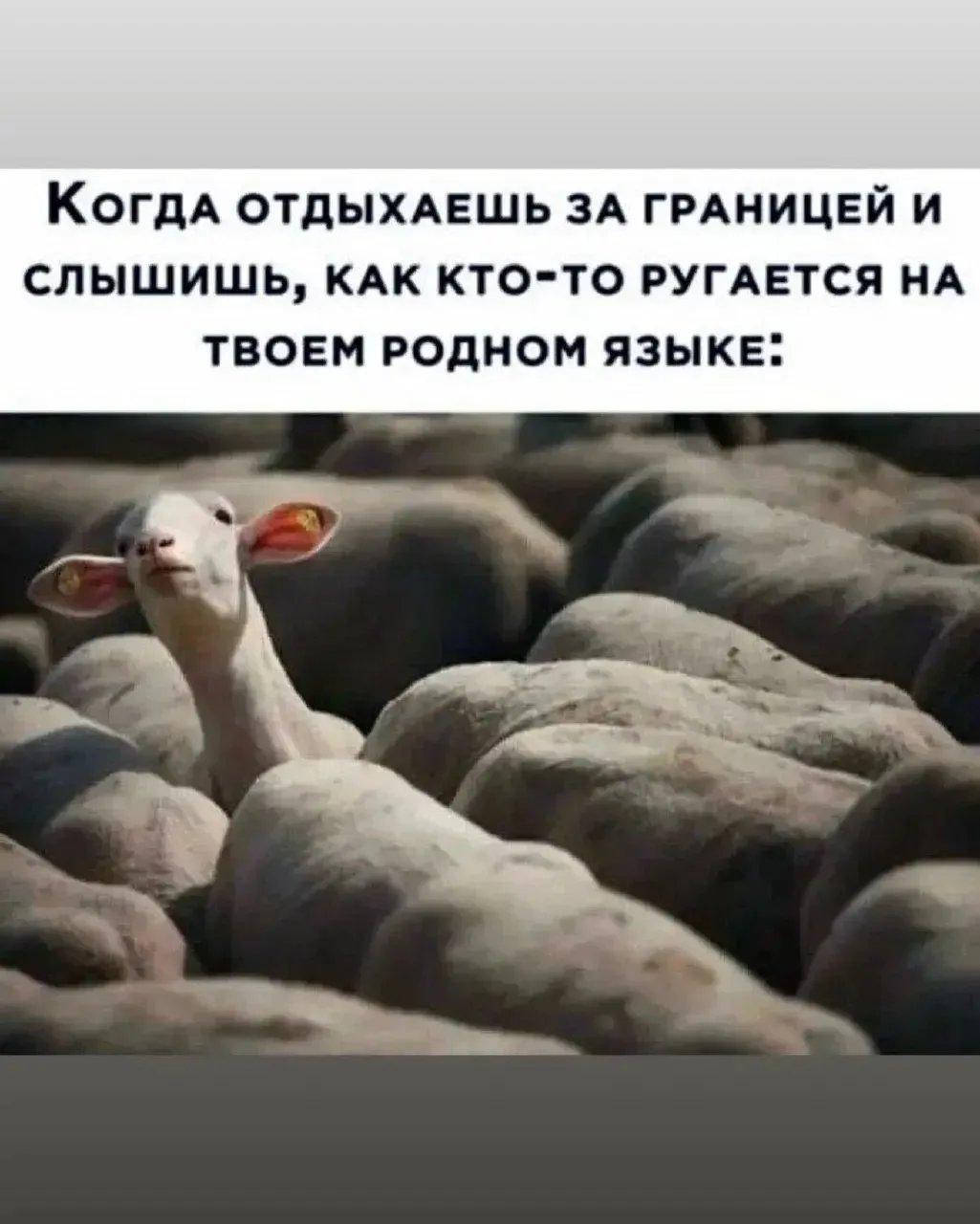 Картинки Для Вашей Улыбки
👉 Подписаться