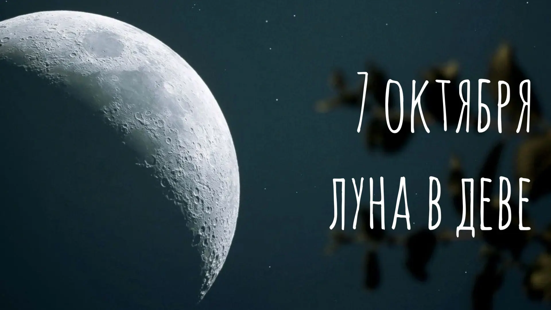 День с настроением строгим и деловым. Усилено внимание к деталям. Мы сегодня просто гла...