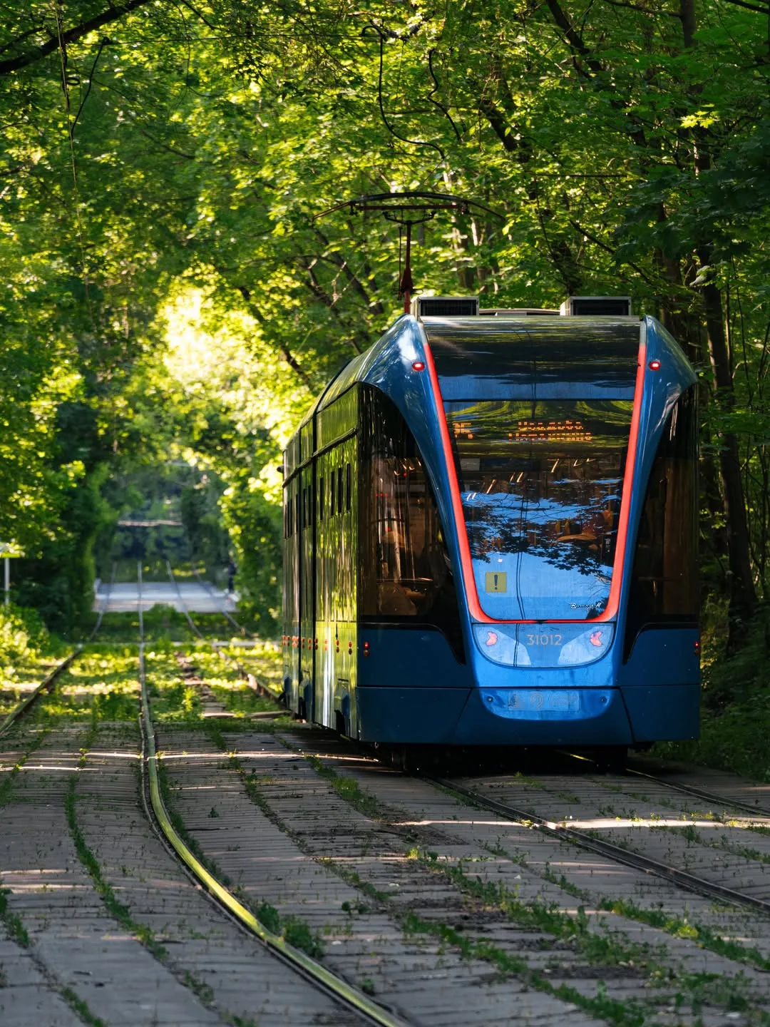 🚋 Трамваи у парка «Сокольники»

Едешь и через большие окна наблюдаешь зелёные тоннели из крон дерев