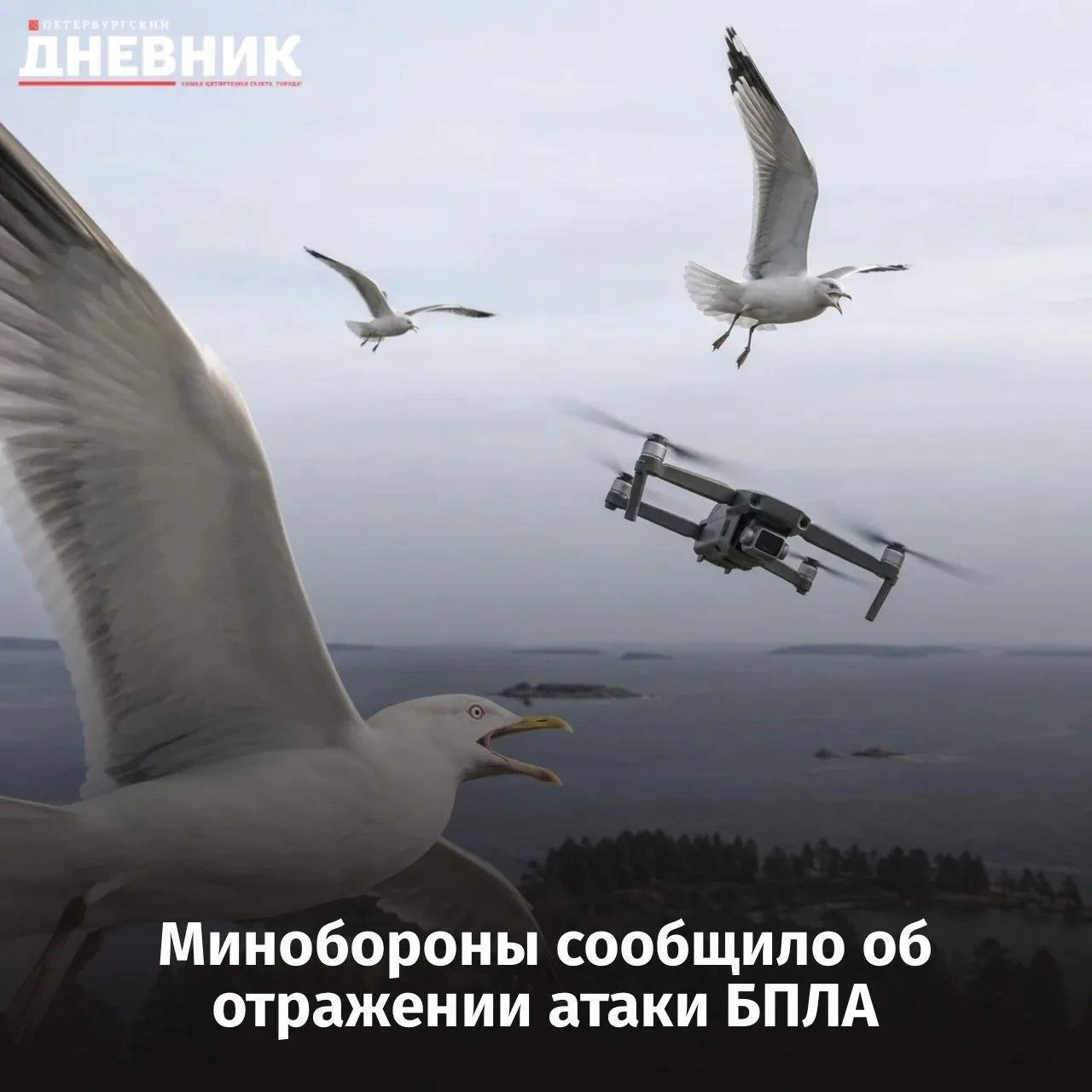 🚨 За день над регионами России уничтожили 244 беспилотника