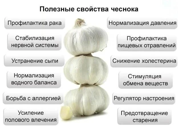 Польза чеснока🧄